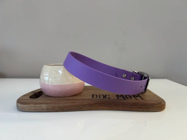 Plain Amethyst Orchid (40-48 cm)