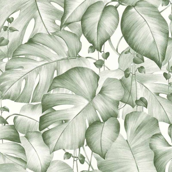 Sale Behang jungle monstera bladeren ranken groen wit