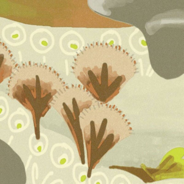 Élitis Les Petites Histoires Rêves de Manille TP 323 02