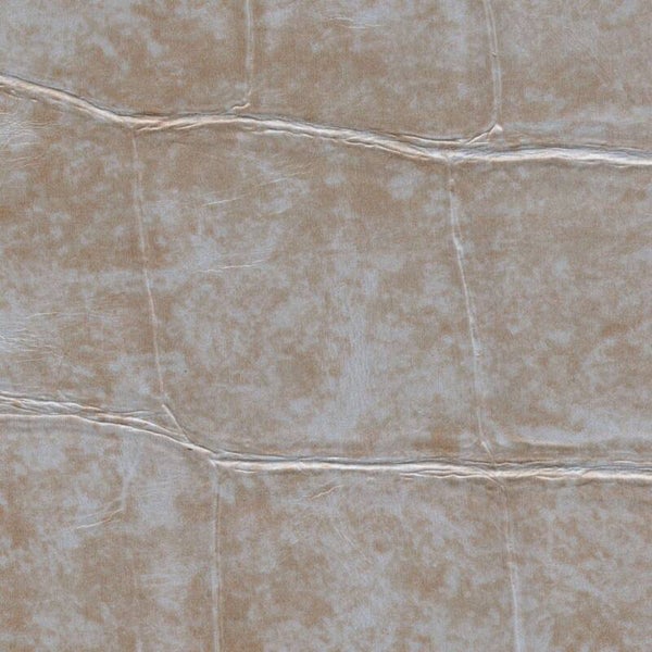 Élitis Anguille Big Croco Legend / Big Croco VP 426 04