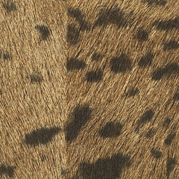 Élitis Sauvages Panthère VP 653 07