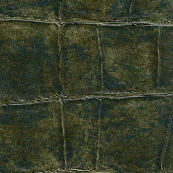 Élitis Anguille Big Croco Legend / Big Croco VP 426 09