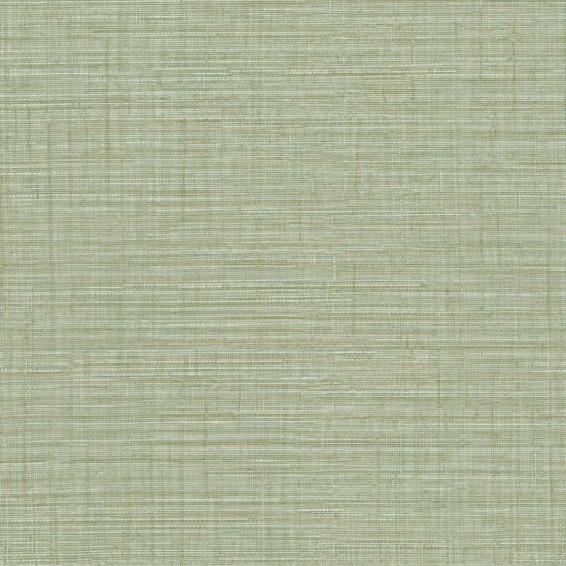 HookedonWalls Umami Aji 30233