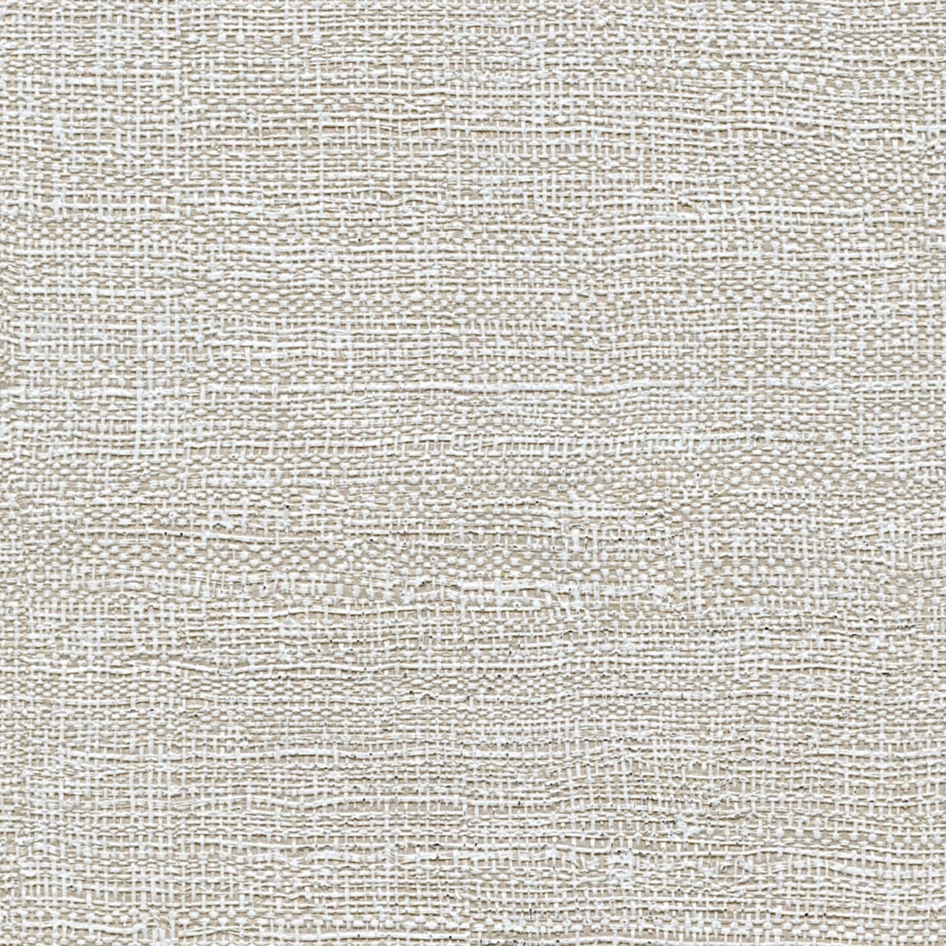 Élitis Madagascar Arrowroot Raw Raffia Madagascar VP 731 01