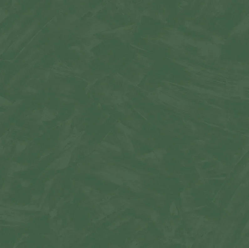 HookedonWalls Silhouette Tadelakt Plain 34818