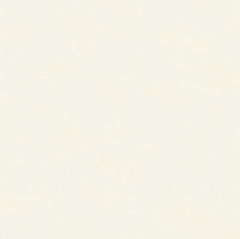 HookedonWalls Silhouette Tadelakt Plain 34800