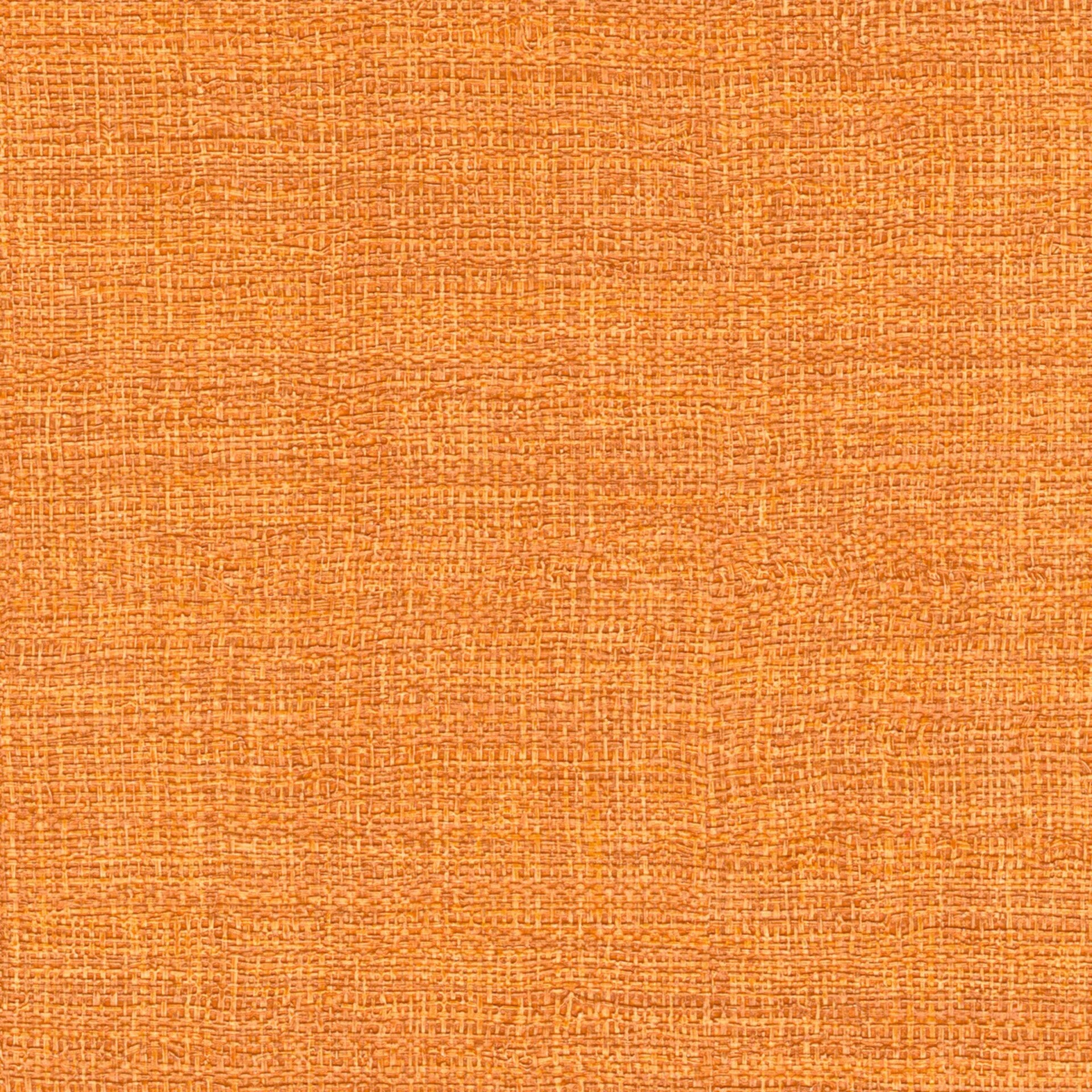 Élitis Madagascar Arrowroot Raw Raffia Madagascar VP 731 37