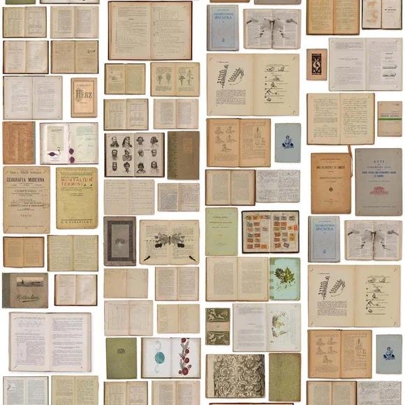 NLXL Ekaterina Panikanova Books White EKA-07