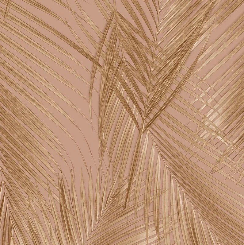 HookedonWalls New Wave Felce Simposium 24807