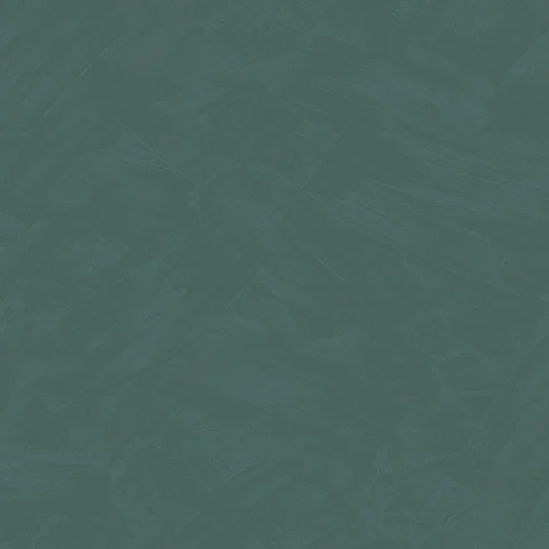 HookedonWalls Silhouette Tadelakt Plain 34817