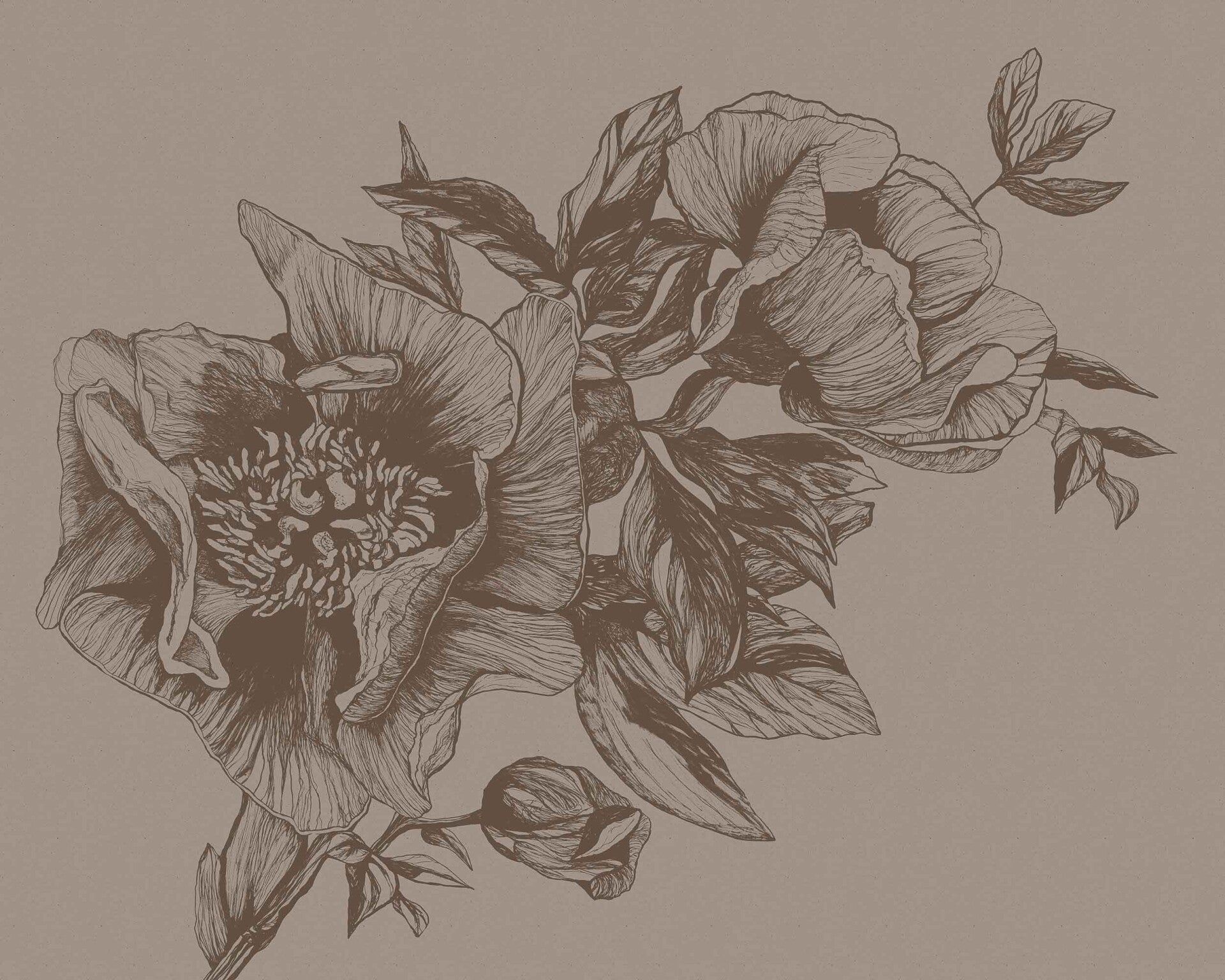 Coordonné Naturae Giant Peonies 9500703