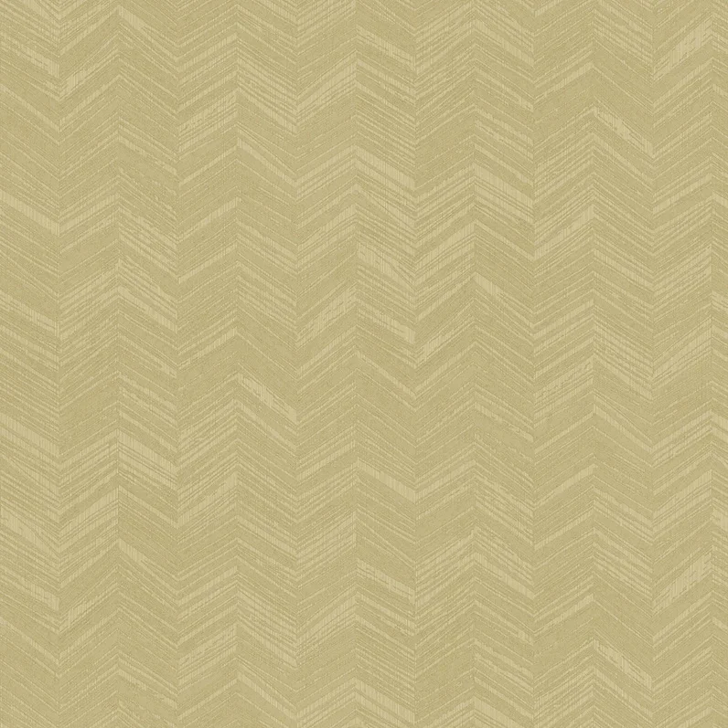 HookedonWalls New Wave Chevron Simposium 24817