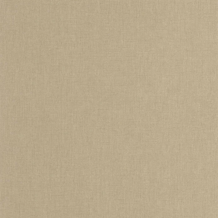 Casadeco Rituel Caractere RITU201171303