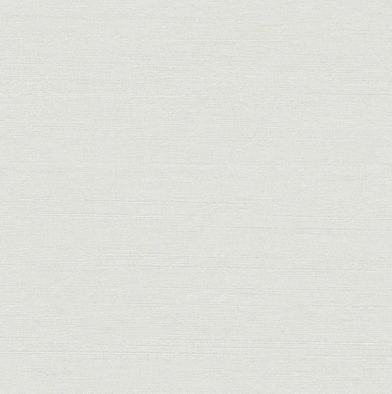 HookedonWalls New Wave Indigo Silk 24803