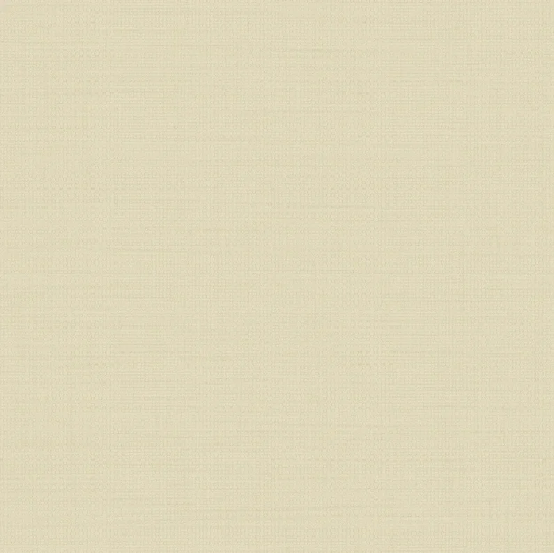 HookedonWalls New Wave Tela 24811