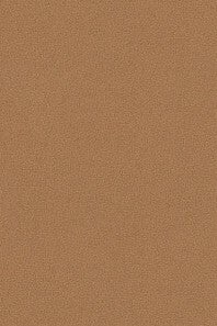 HookedonWalls Orfeo Aria (metalic) 35201