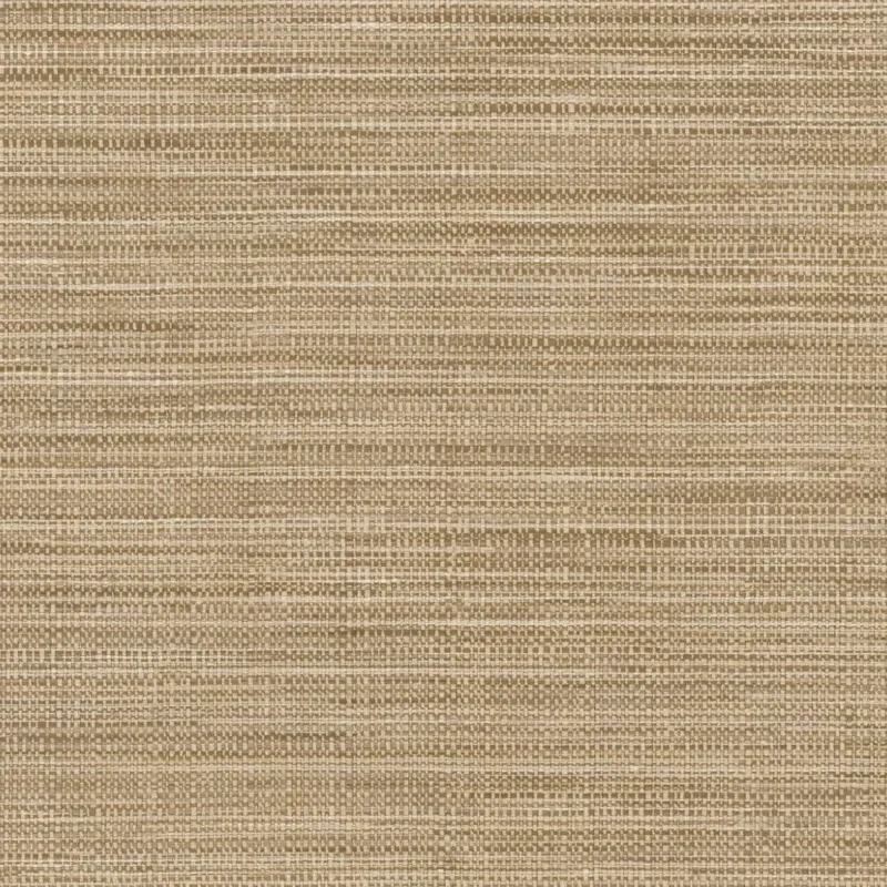 HookedonWalls Tribu Kasai 29343