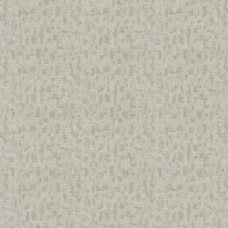 HookedonWalls Penthouse Apollo 19932