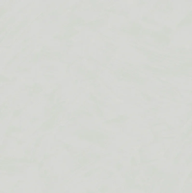 HookedonWalls Silhouette Tadelakt Plain 34803