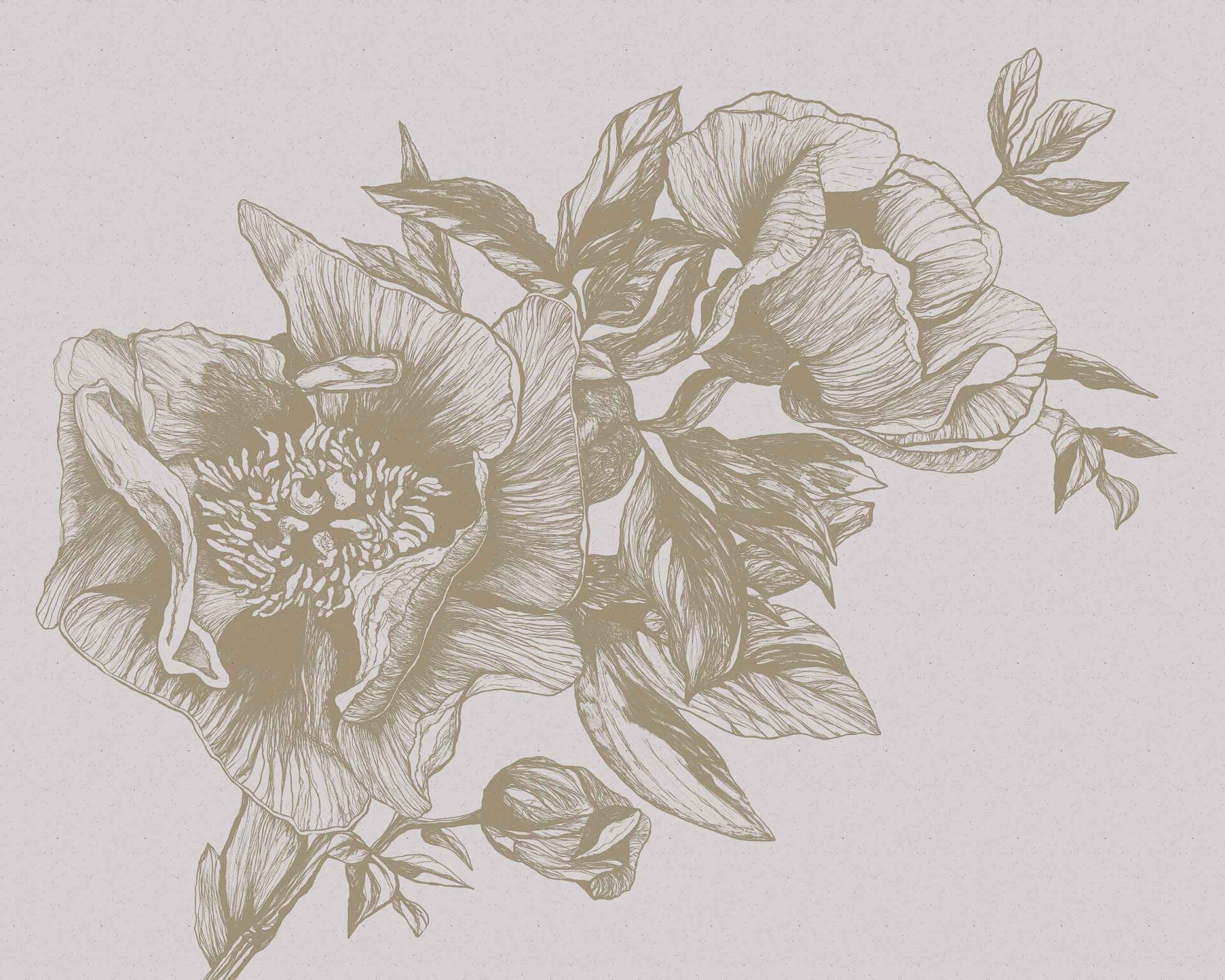 Coordonné Naturae Giant Peonies 9500701