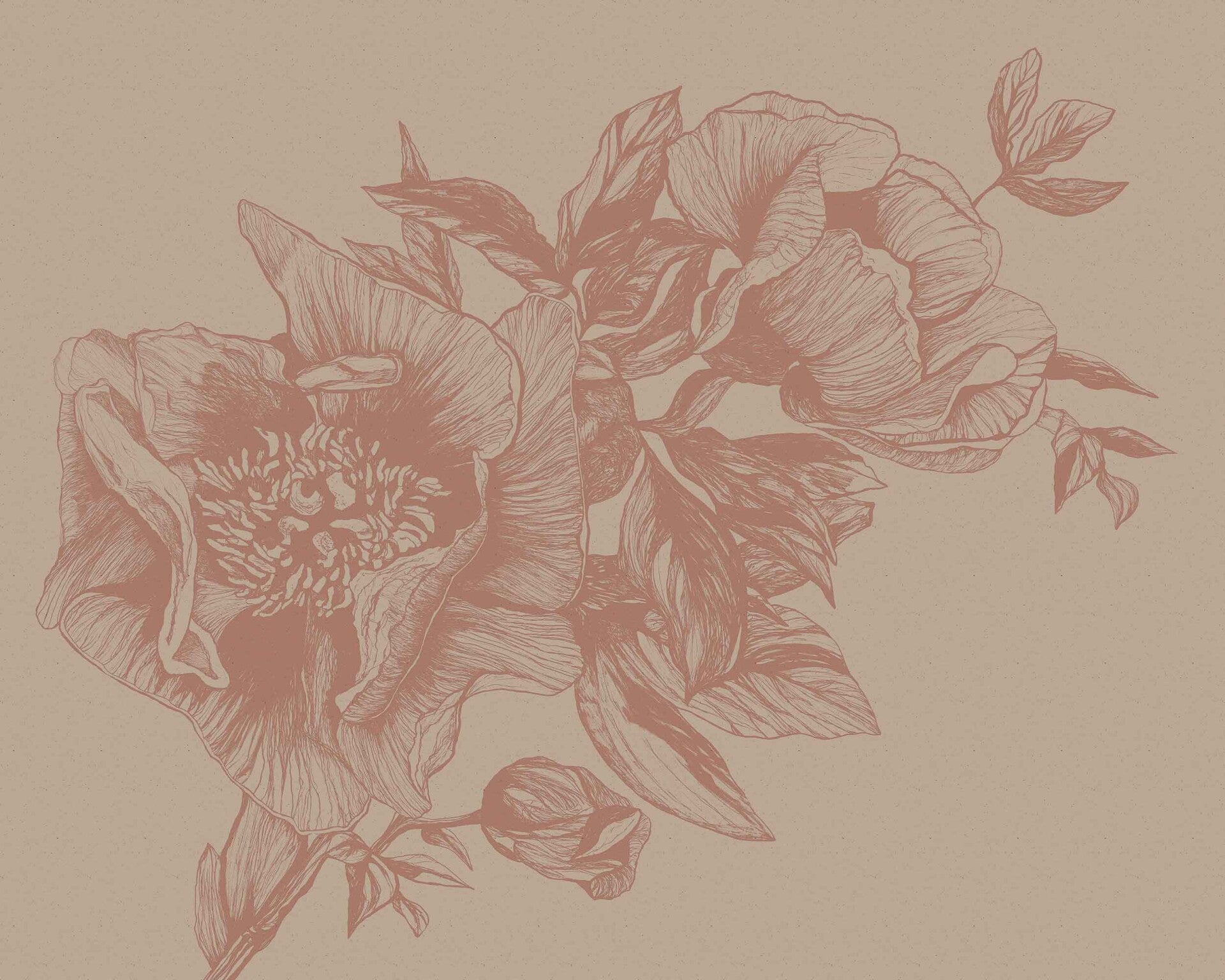 Coordonné Naturae Giant Peonies 9500702