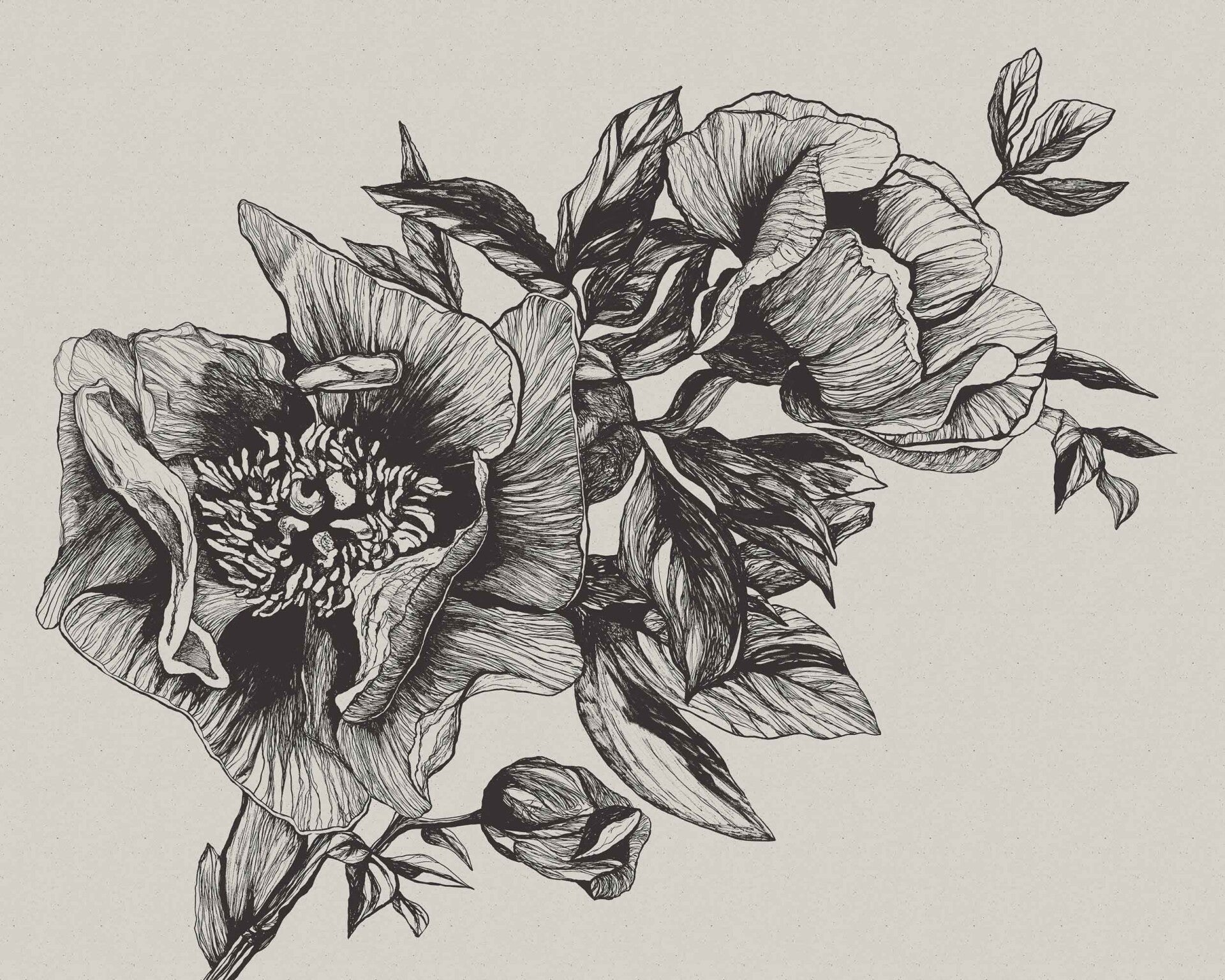 Coordonné Naturae Giant Peonies 9500700