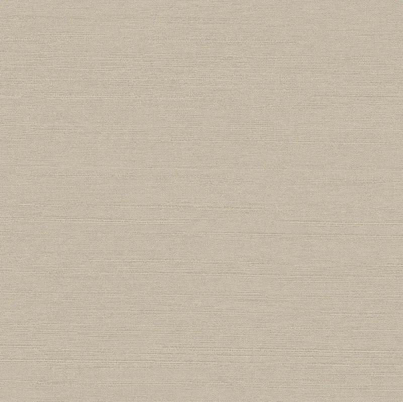 HookedonWalls New Wave Indigo Silk 24801