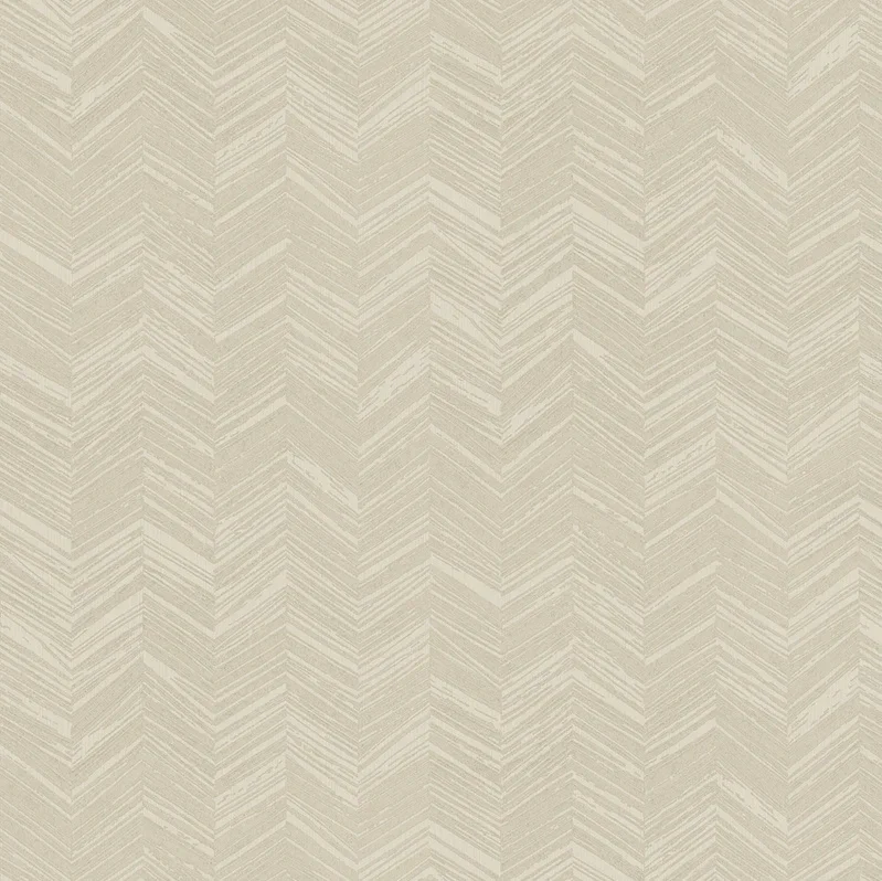 HookedonWalls New Wave Chevron Simposium 24815