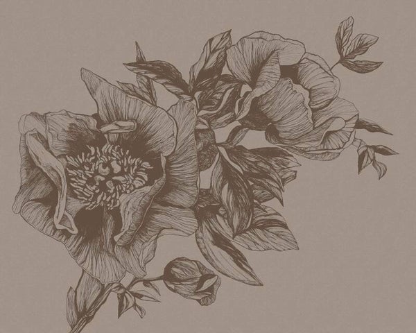 Coordonné Naturae Giant Peonies 9500703