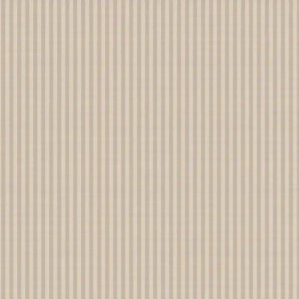 HookedonWalls Stripes & Stripes Paski 90775