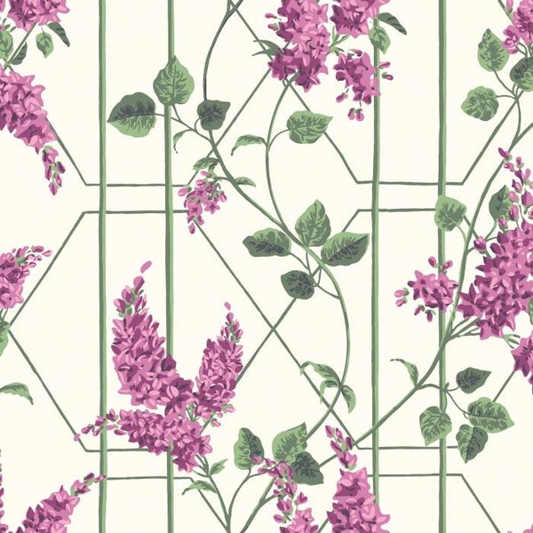 Cole & Son Botanical Botanica Wisteria 115/5013