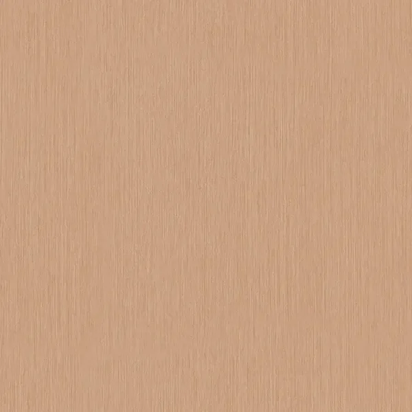 HookedonWalls Terra Cotta 42134