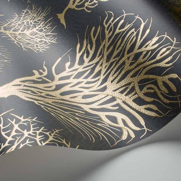 Cole & Son Curio Seafern 107/2006