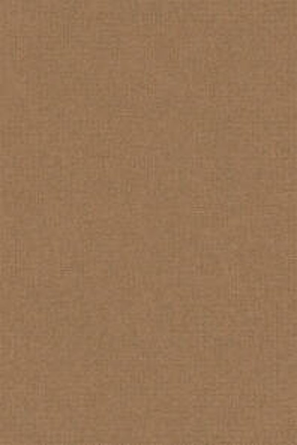 HookedonWalls Passe Partout Colour Vibes 29881