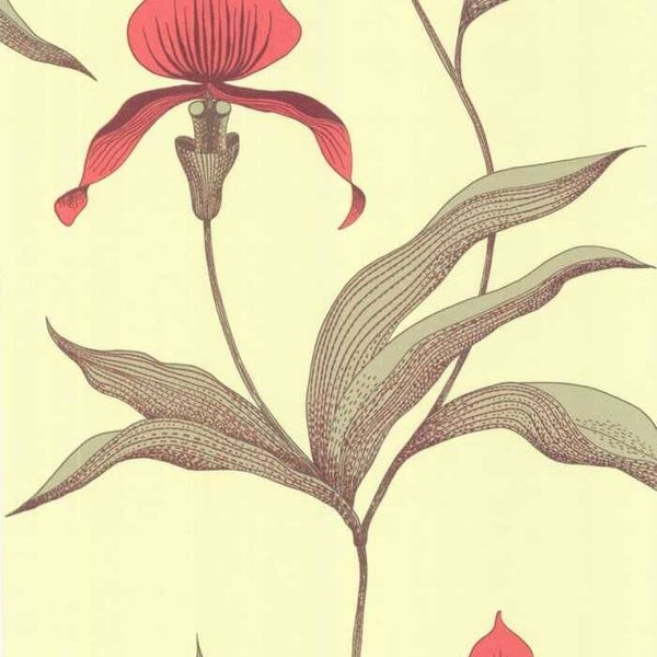 Cole & Son The Contemporary Selection Orchid 66/4033