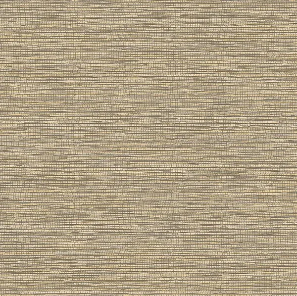 HookedonWalls Leopard Walk Jomon 15308