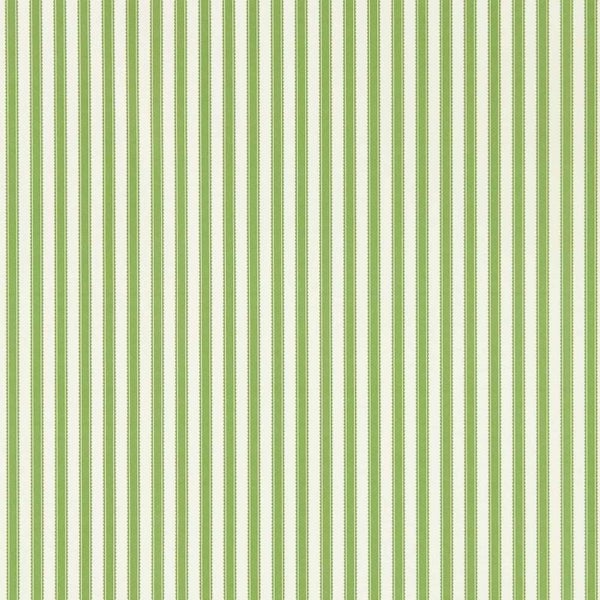 Sanderson Arboretum Pinetum Stripe 217255