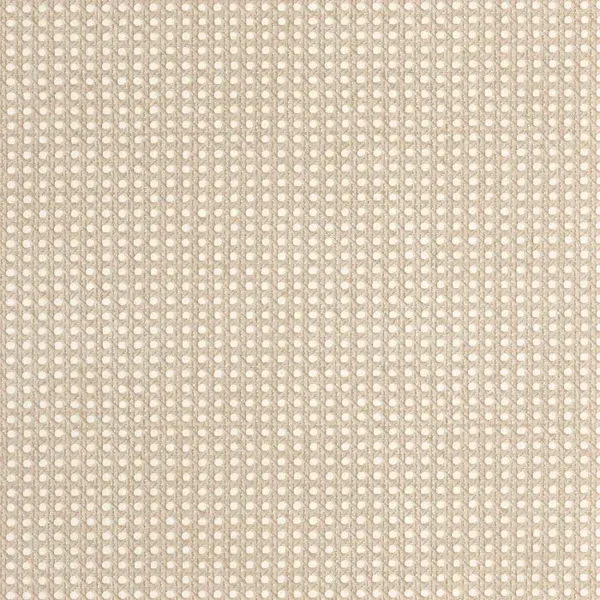 Caselio Matieres Cannage MMT 10602 20 50