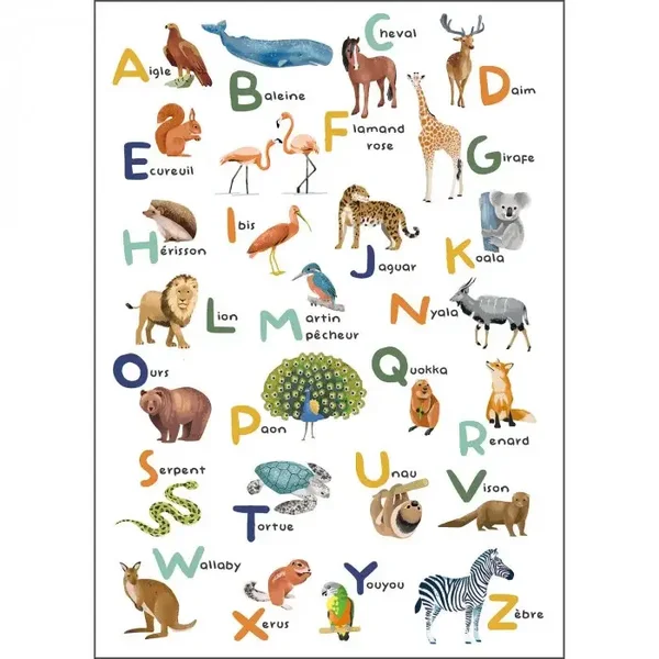 Caselio Les Minis Mondes Apprenons l'Alphabet MNM 10567 23 05