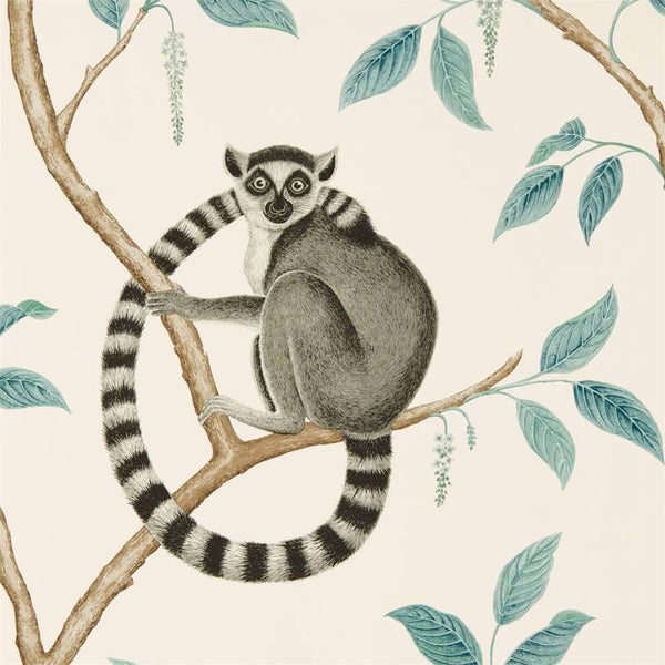 Sanderson The Glasshouse Ringtailed Lemur 216665