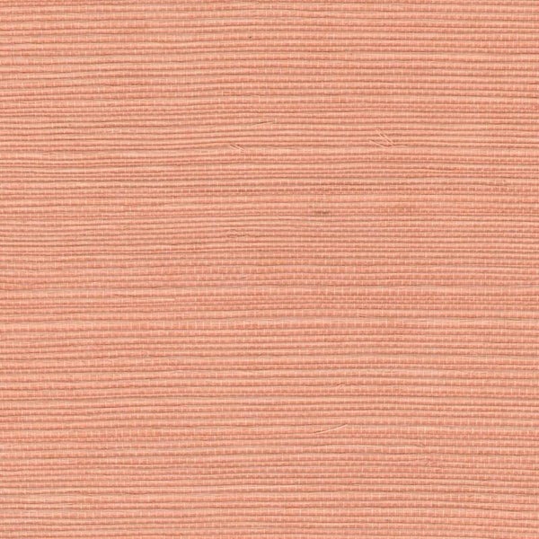 Élitis Maestria Sisal RM 1069 57