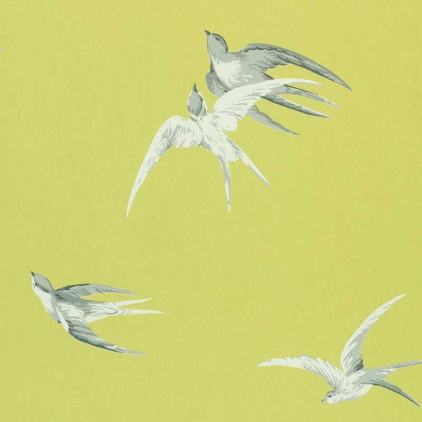 Sanderson One Sixty Swallows DVIWSW101