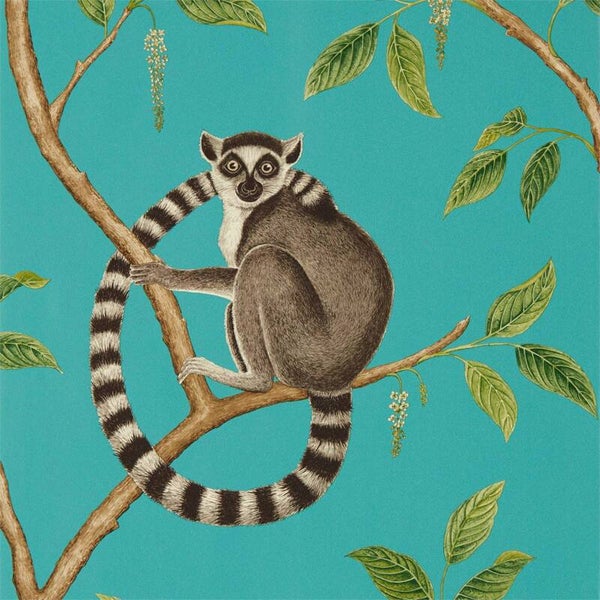 Sanderson The Glasshouse Ringtailed Lemur 216663