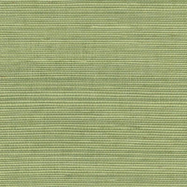 Élitis Tribus Sisal RM 1069 63