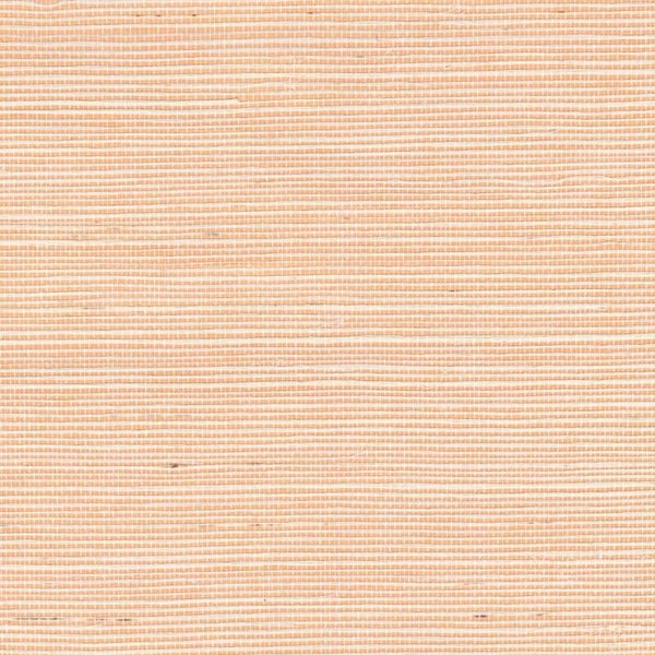 Élitis Tribus Sisal Métallique RM 1073 50