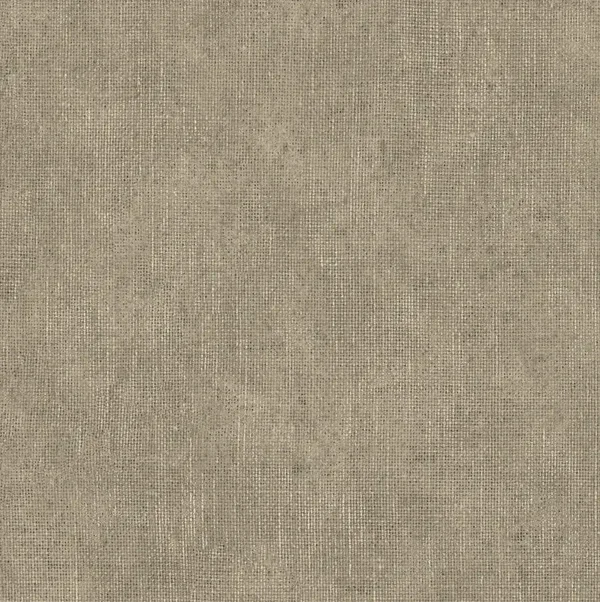 HookedonWalls Leopard Walk Ramie 15306