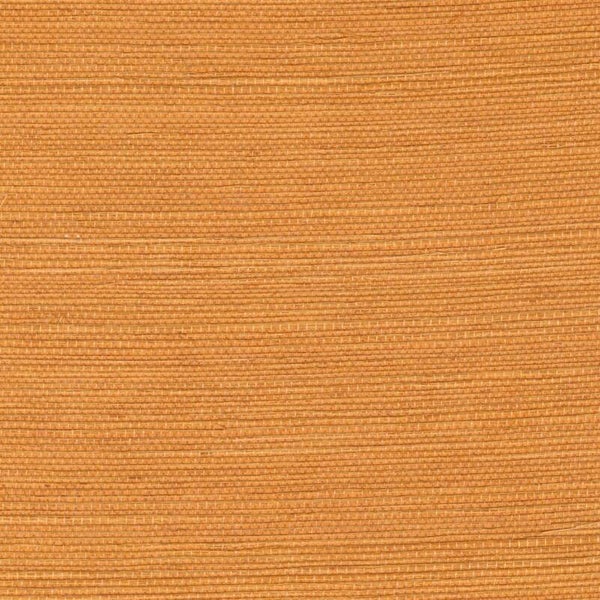Élitis Tribus Sisal RM 1069 22