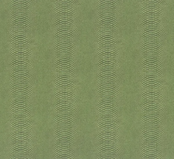 HookedonWalls Material Matters Python 24720