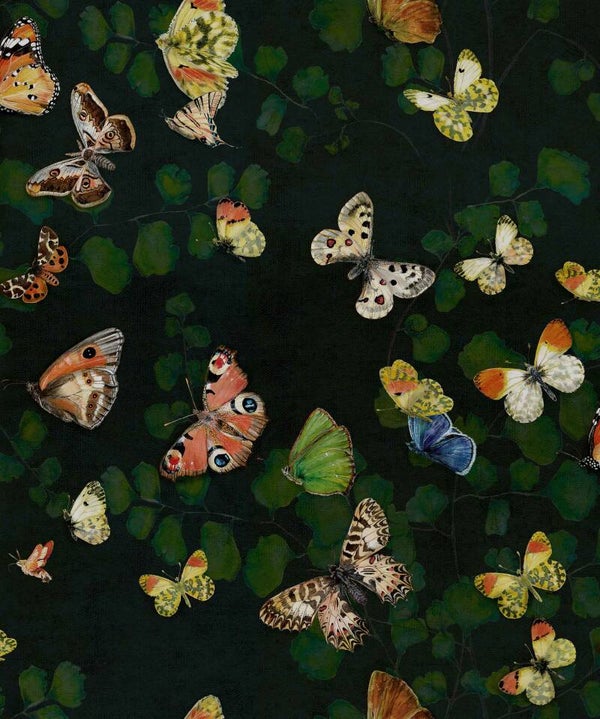 Coordonné Naturae Magic Butterflies 9500050