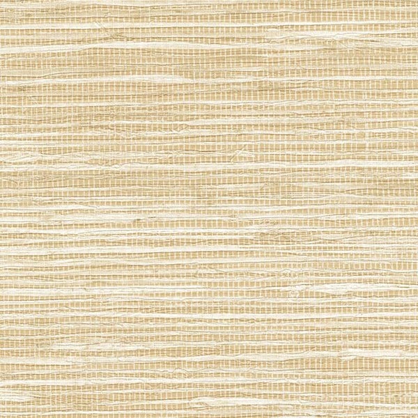 Élitis Madagascar Arrowroot Raw Raffia Arrowroot VP 1050 01